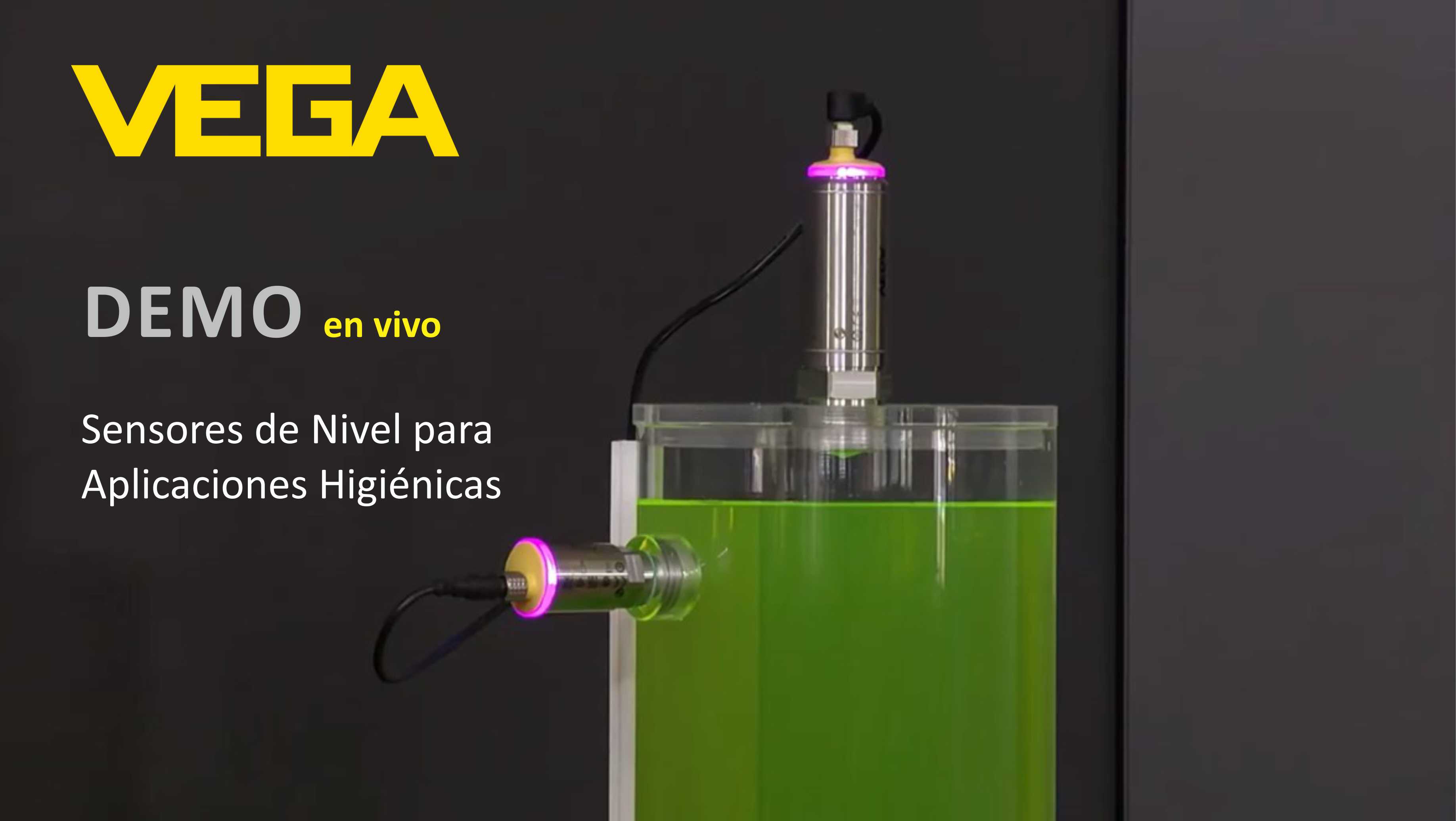 Webinar Medicion de Nivel VEGA